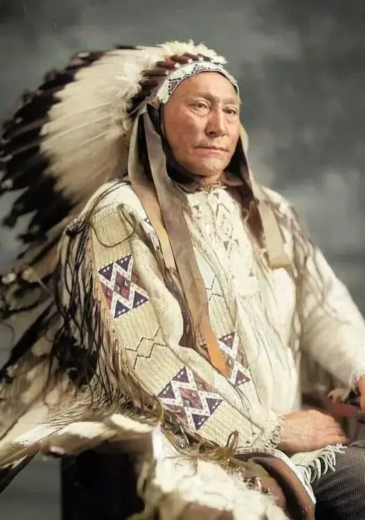 Hollow Horn Bear.webp