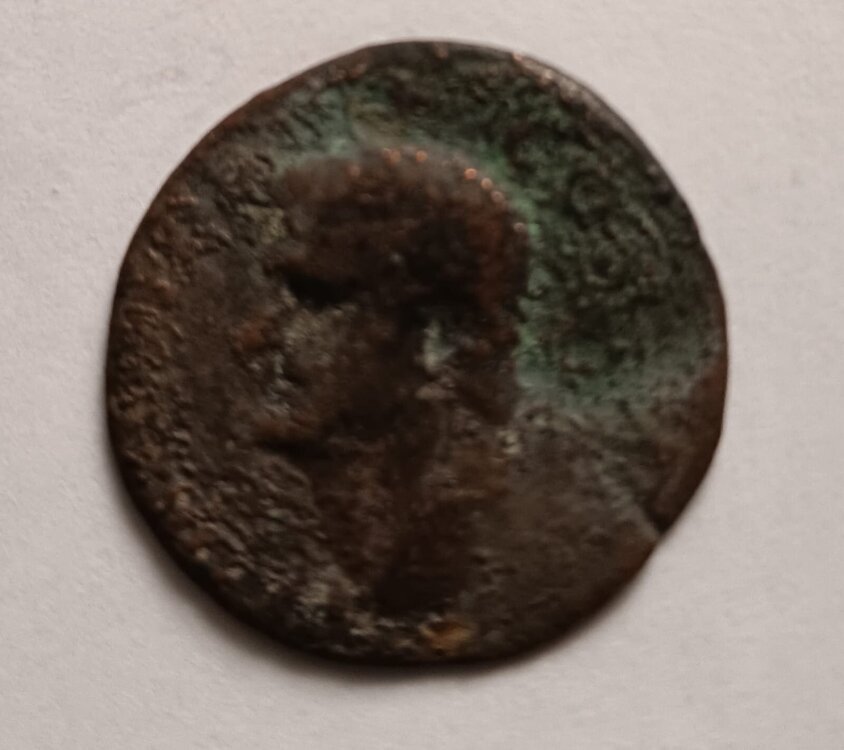 Immagine WhatsApp 2025-12-07 ore 14.51.38_78187a2e.jpg