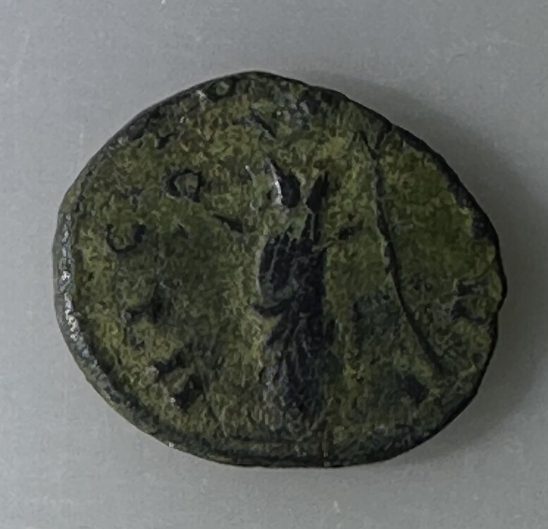 Rovescio Claudio II.jpg