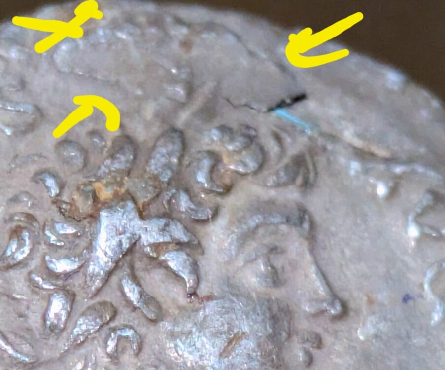 Screenshot_20251201_110253_Samsung Internet.jpg