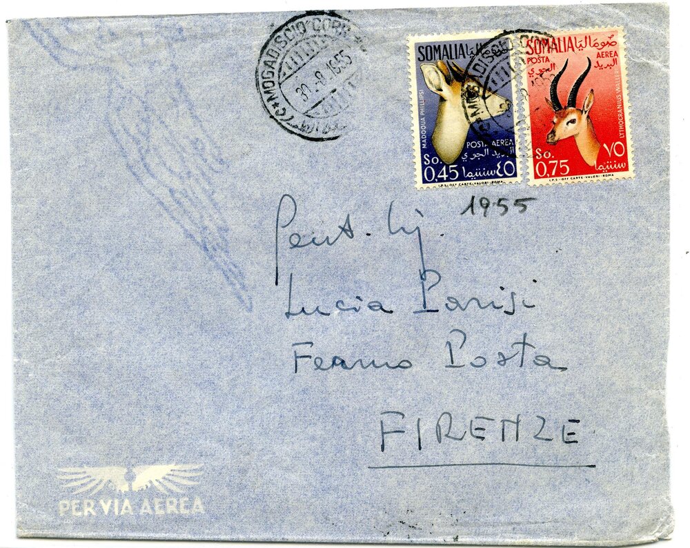 animali 0,45+0,75104.jpg