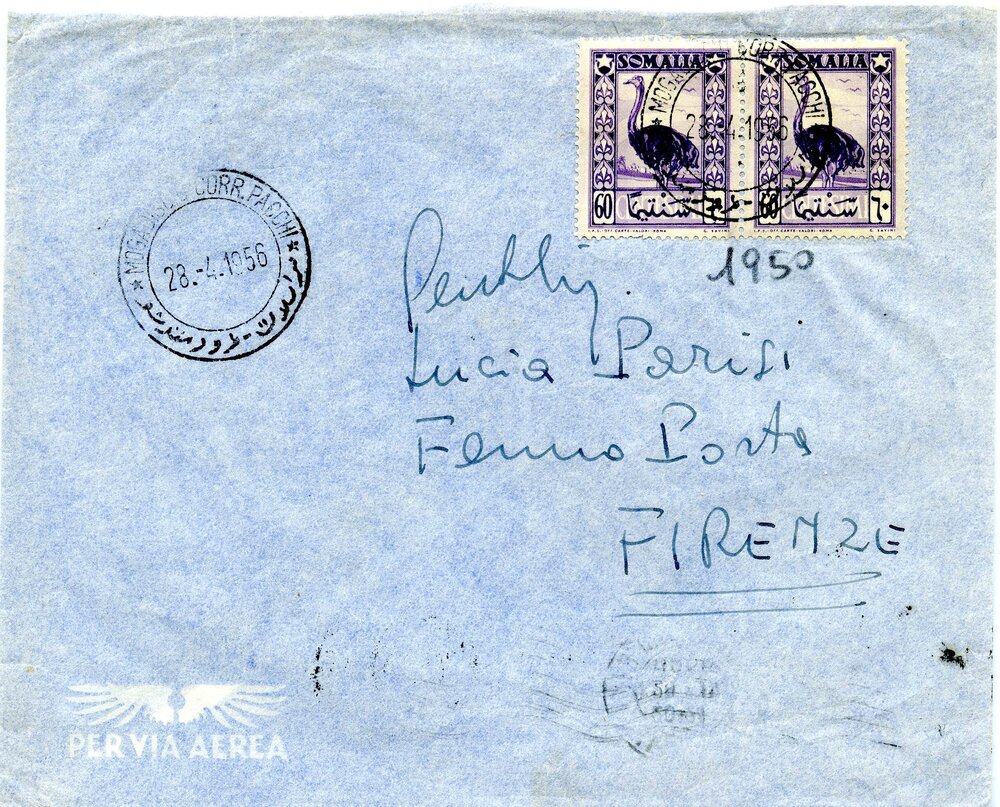 struzzo coppia106.jpg