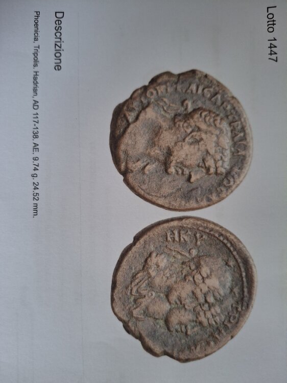 20260126_124252 (6).jpg