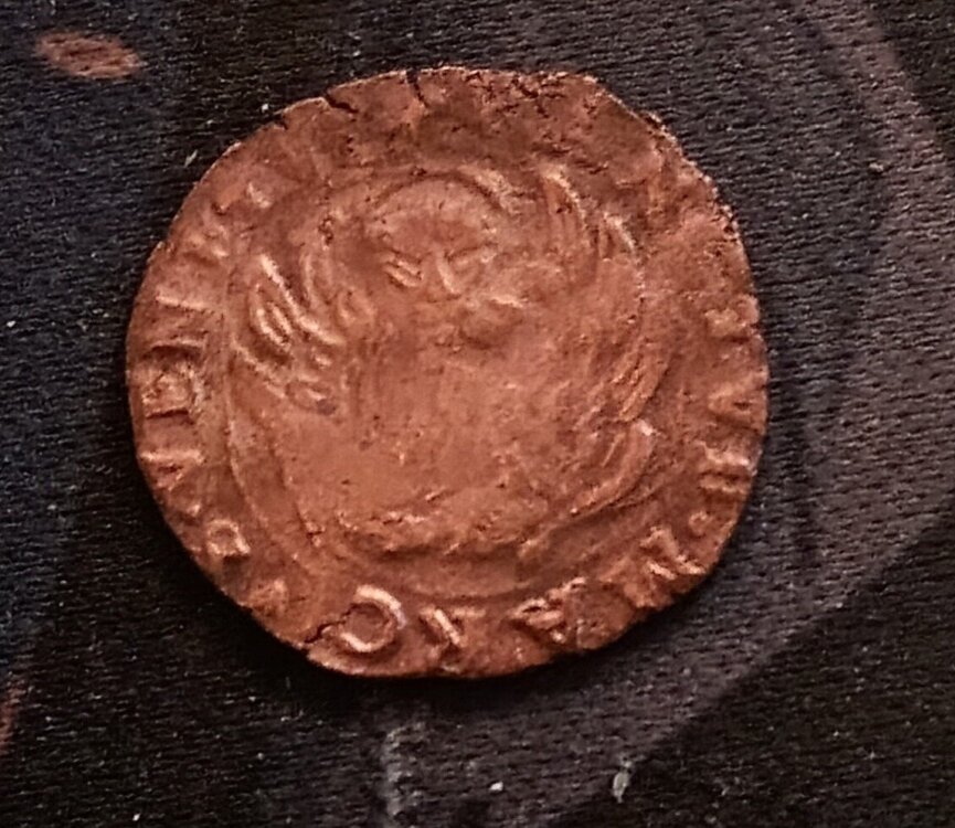 Moneta Cicogna 2.JPG