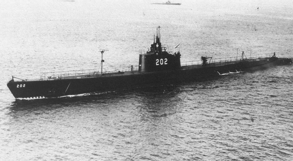 Philippines Trout.jpg