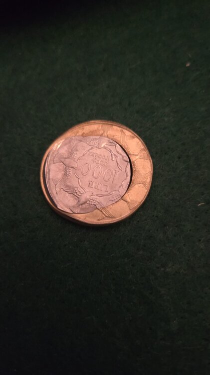 WhatsApp Image 2026-01-10 at 16.57.00.jpeg