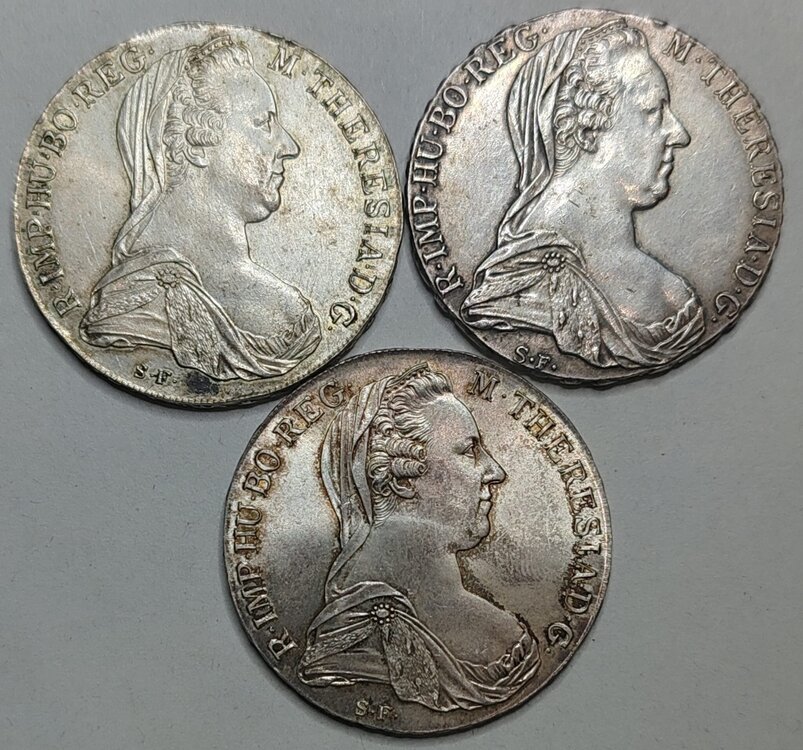 talleri Maria teresa d.jpeg