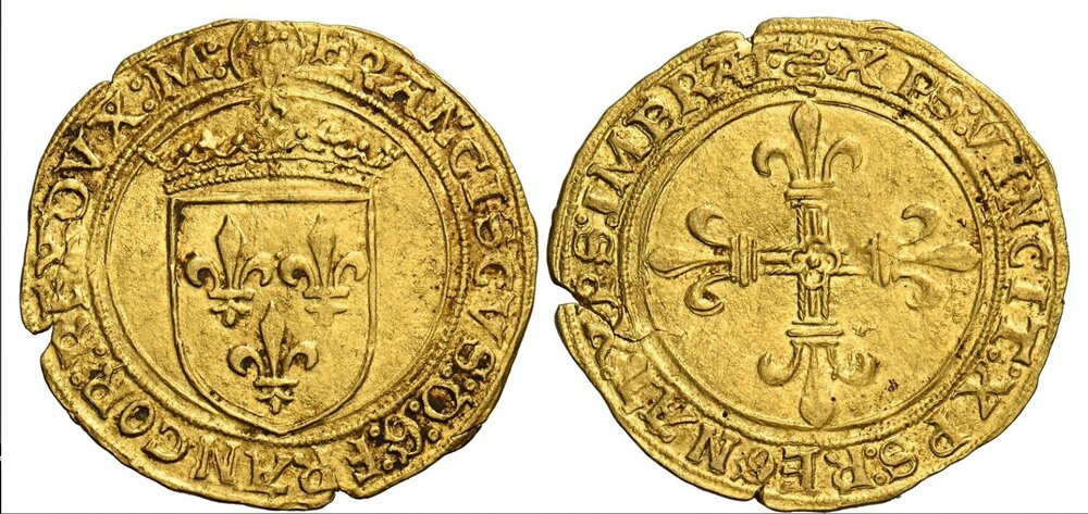 Immagine 2026-02-19 094042.jpg