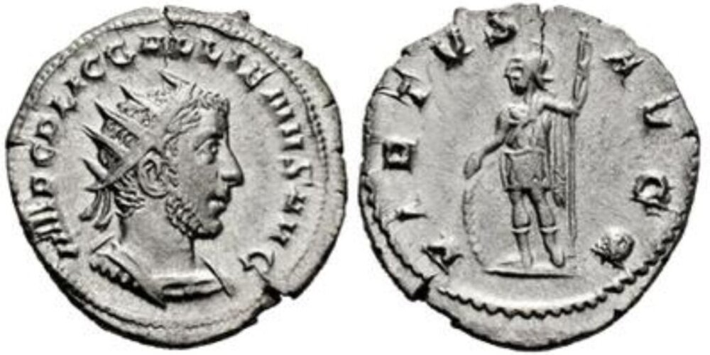 Screenshot_20260219_190516_Samsung Internet.jpg