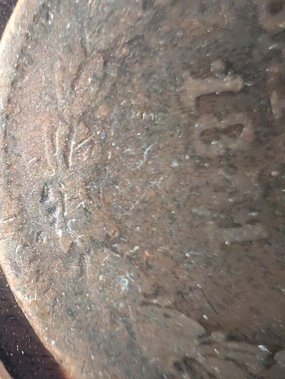 WhatsApp Image 2026-02-04 at 12.18.30.jpeg