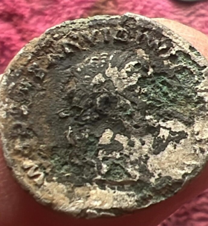 WhatsApp Image 2026-02-08 at 15.57.37.jpeg