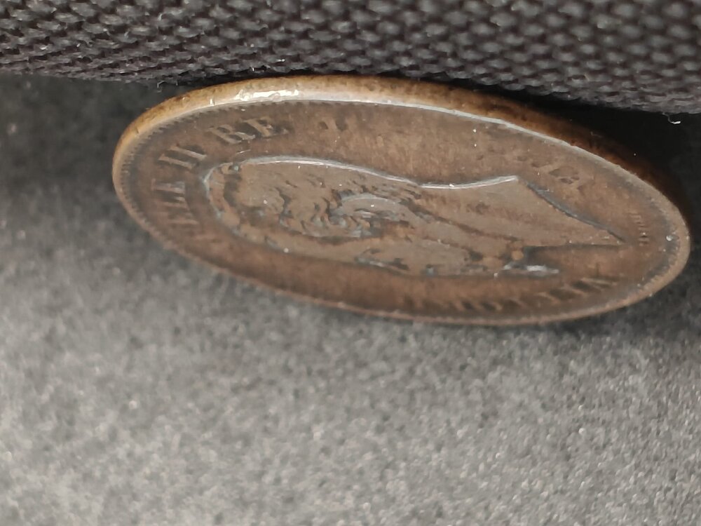 WhatsApp Image 2026-02-17 at 09.37.25 (1).jpeg