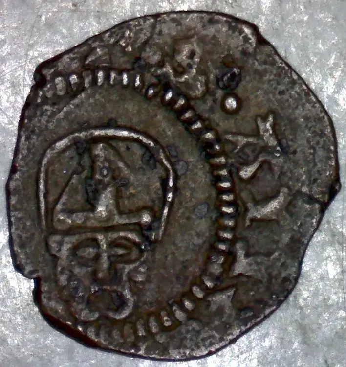 3 d De Fezza gr.0,46 d.mm.13.webp