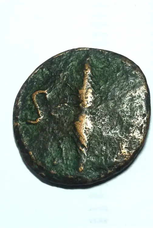 MONETA 3 ROVESCIO 1.webp