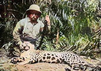 Roosevelt leopard.webp