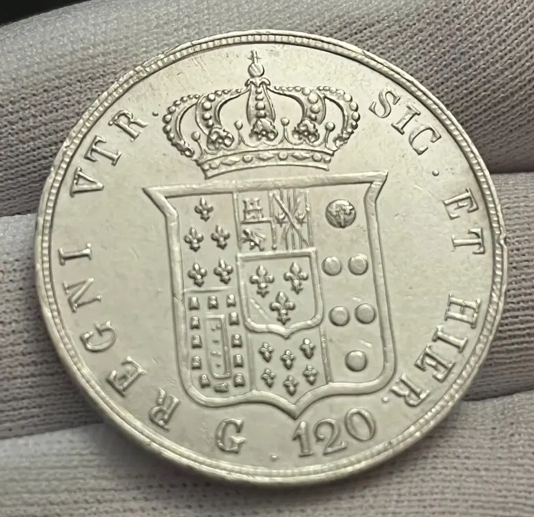 WhatsApp Image 2026-03-25 at 18.31.41.webp