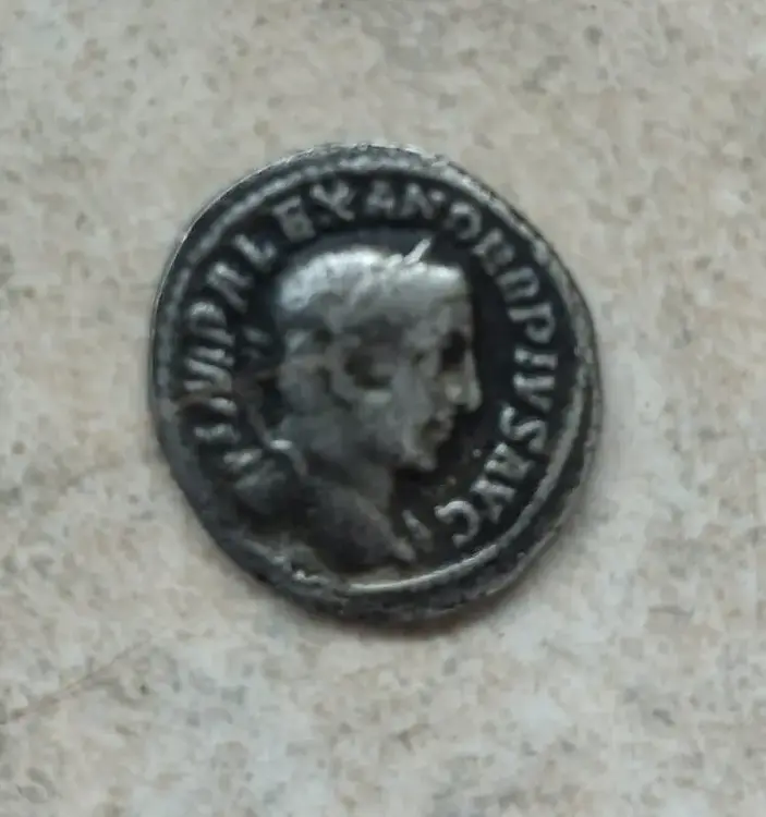 WhatsApp Image 2026-03-31 at 14.23.18.webp