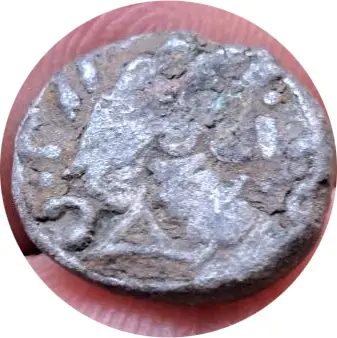 immagine_circolare_ritagliata (1).webp