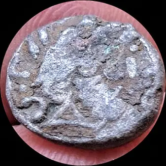 immagine_circolare_ritagliata (1)~2.webp