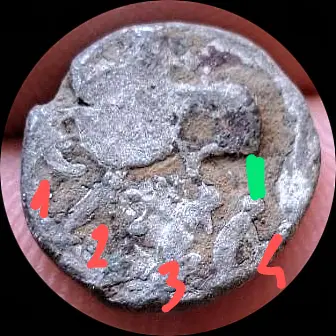 immagine_circolare_ritagliata (2)~4.webp