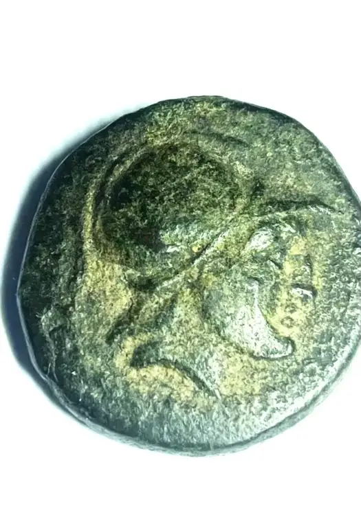 incausto diritto 1.webp