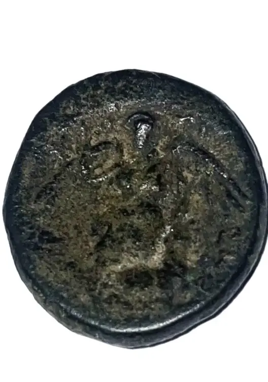 incausto rovescio 1.webp