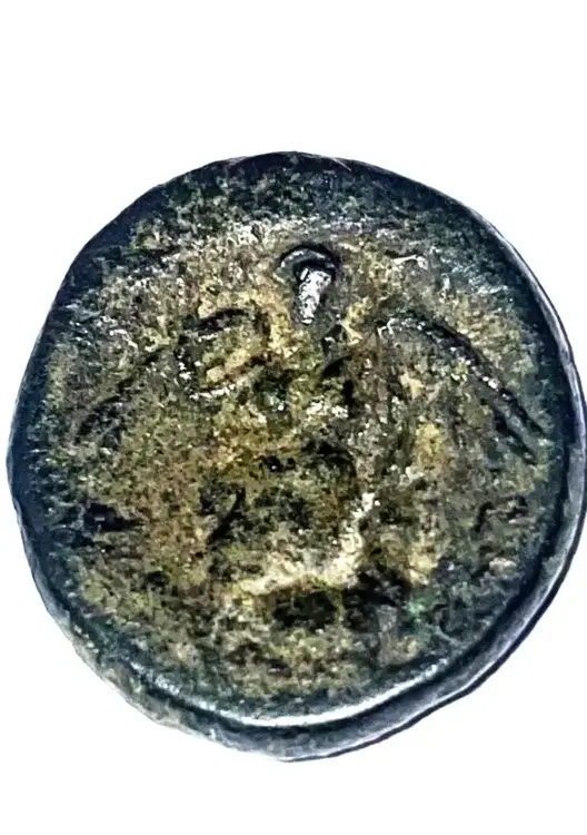 incausto rovescio 2.webp