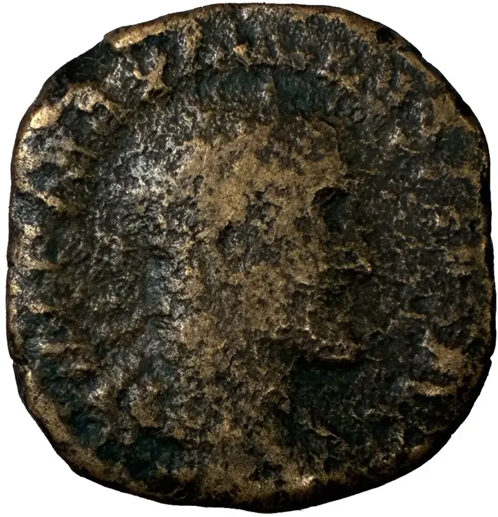 moneta studio 234 (2).webp