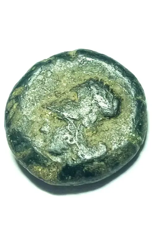 moneta testa elmata diritto 1.webp