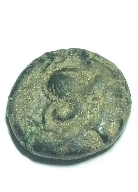 moneta testa elmata rovescio 1.webp