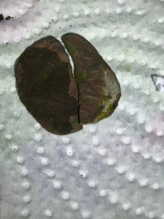 photo_2026-03-13_21-28-43 (2).webp