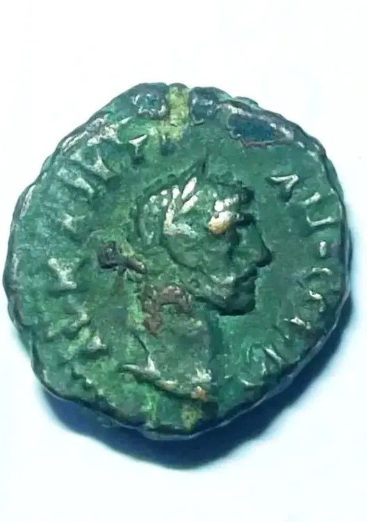 ALTRA BIZANTINA DIRITTO.webp