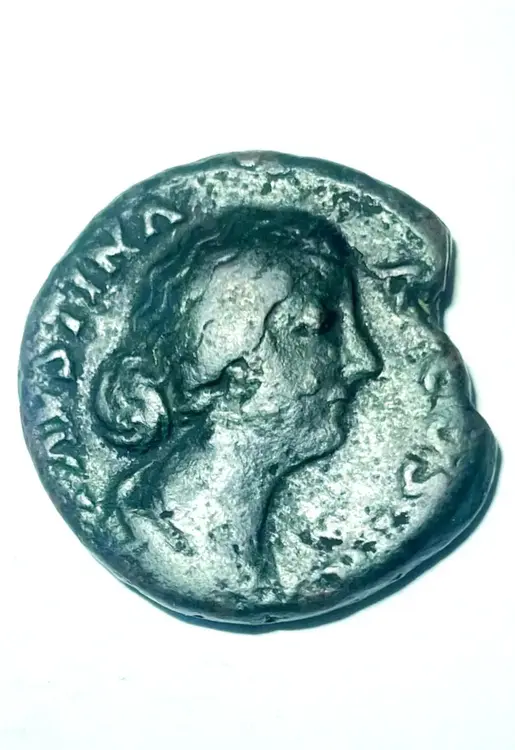 ASSEDI FAUSTINA DIRITTO.webp