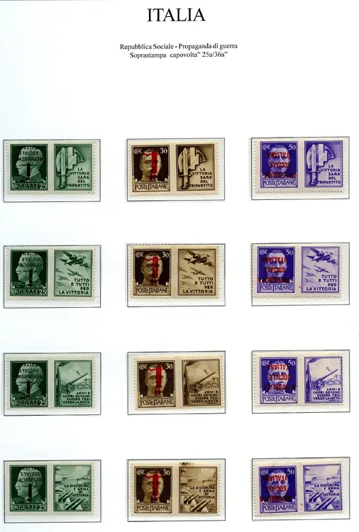 fascetto capovolto244.webp