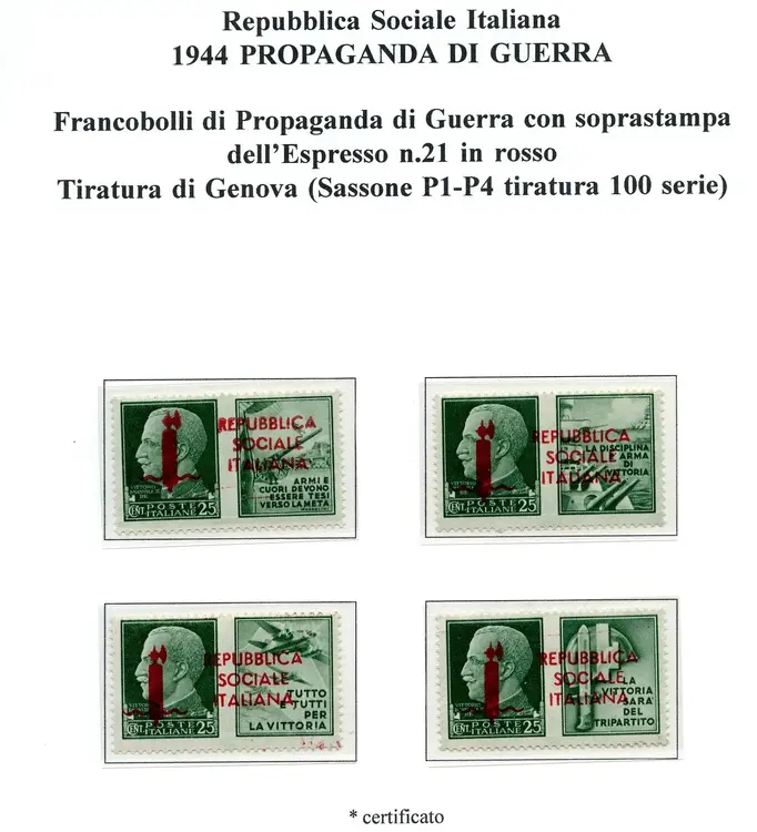 fascetto genova247.webp