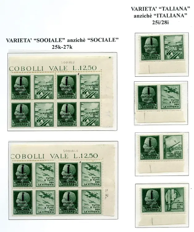 fascetto sociaie248.webp