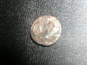 post-1691-1139081127_thumb.jpg