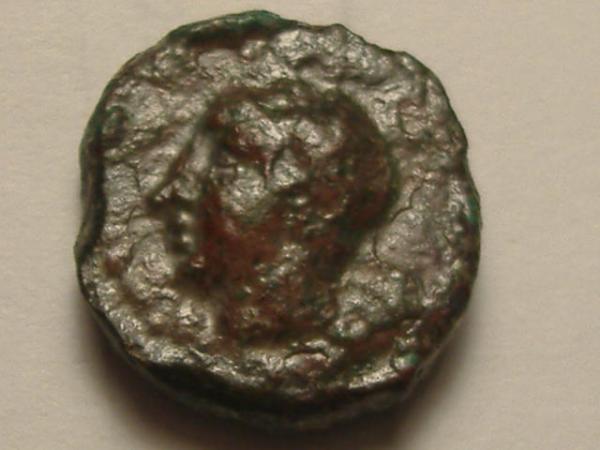 post-1893-1148323385_thumb.jpg