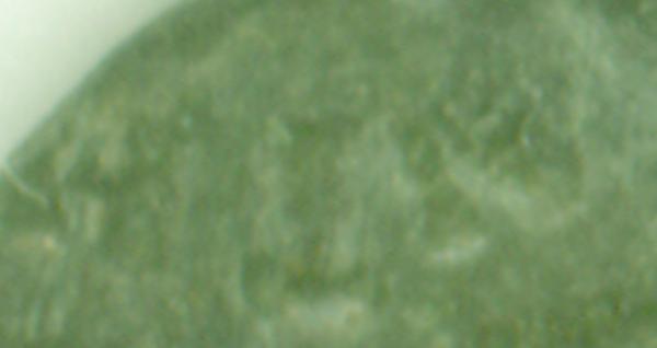 post-248-1152517463_thumb.jpg