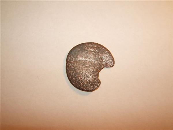 post-3677-1159990303_thumb.jpg