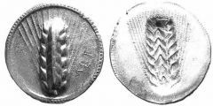 Metapontum - Didramma