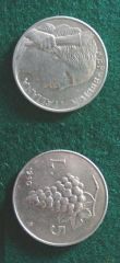 5 lire Grappolo d'uva